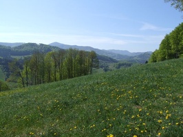 Kopie von DSCF0018
