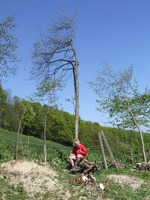 Kopie von DSCF0026