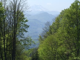 Kopie von DSCF0053