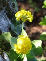 Kopie von DSCF0057