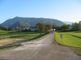 IMG 0020