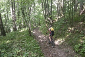 Mtb Kirchberg 066