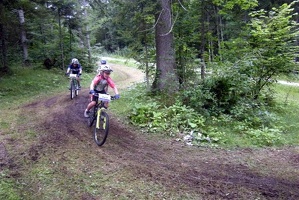 Goiserer 125
