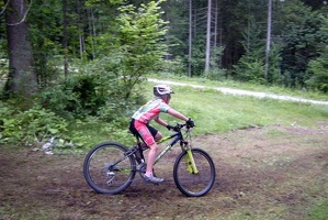 Goiserer 126