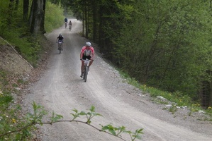 St Veitg 2010 010 2