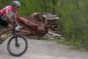 St Veitg 2010 012 2