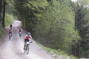 St Veitg 2010 018 2