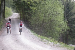 St Veitg 2010 019 2