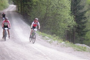St Veitg 2010 020 2