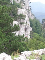 P8090010