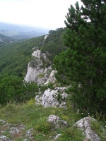 P8090022