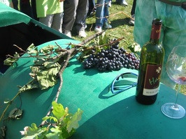 Red Wine Racingteam 028