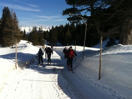 2 Tagesschitour 1 Tag Gr B senstein 5