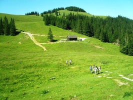 P7110009