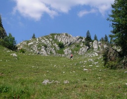P7110016