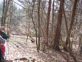Wanderung 027