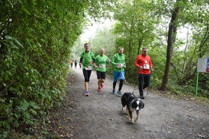 Roter Nasen Lauf 2017-3251