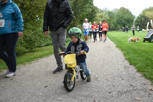 Roter Nasen Lauf 2017-3269