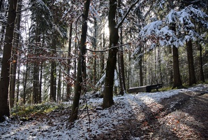 Leopoldiwanderung 2016-007