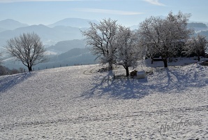 Leopoldiwanderung 2016-009