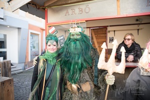 20170225 NF-Wilhelmsburg(c)Mathias Reischer 3243
