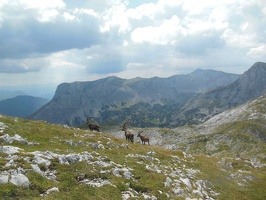 Hochschwab über die Aflenzer Staritzen-9