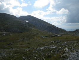 DSCN1171