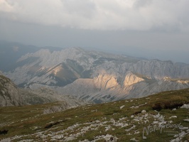 DSCN1185