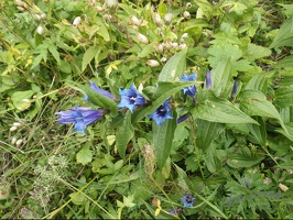 DSCN1295