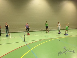 NF-Athletiktraining 2016-2