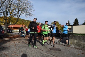 3.Lauf rund um Wilhelmsburg 2015-7