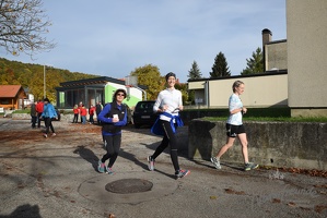 3.Lauf rund um Wilhelmsburg 2015-9