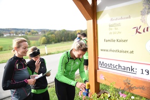 3.Lauf rund um Wilhelmsburg 2015-19