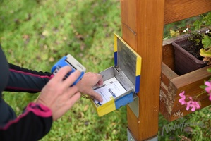 3.Lauf rund um Wilhelmsburg 2015-20