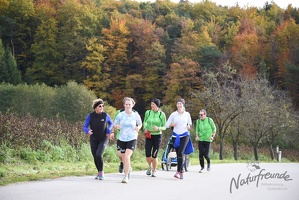 3.Lauf rund um Wilhelmsburg 2015-21