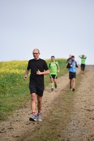 3.Lauf rund um Wilhelmsburg 2015-24