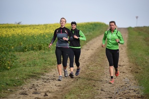 3.Lauf rund um Wilhelmsburg 2015-25