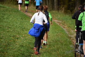 3.Lauf rund um Wilhelmsburg 2015-28