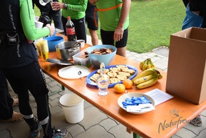 3.Lauf rund um Wilhelmsburg 2015-30