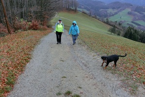 Leopoldiwanderung Goasbichl-14
