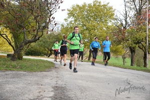 3.Lauf rund um Wilhelmsburg 2015-39