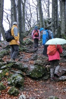 Leopoldiwanderung Goasbichl-23