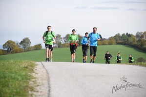 3.Lauf rund um Wilhelmsburg 2015-45