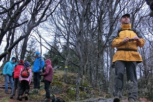 Leopoldiwanderung Goasbichl-34