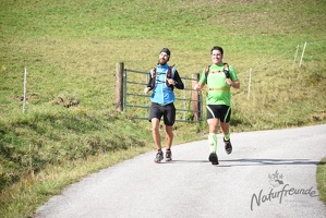 3.Lauf rund um Wilhelmsburg 2015-51