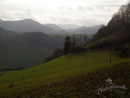 Leopoldiwanderung Goasbichl-40