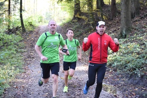 3.Lauf rund um Wilhelmsburg 2015-65