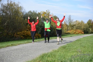 3.Lauf rund um Wilhelmsburg 2015-70