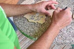 3.Lauf rund um Wilhelmsburg 2015-78