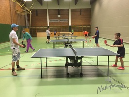 NF-Tischtennis 2016-1